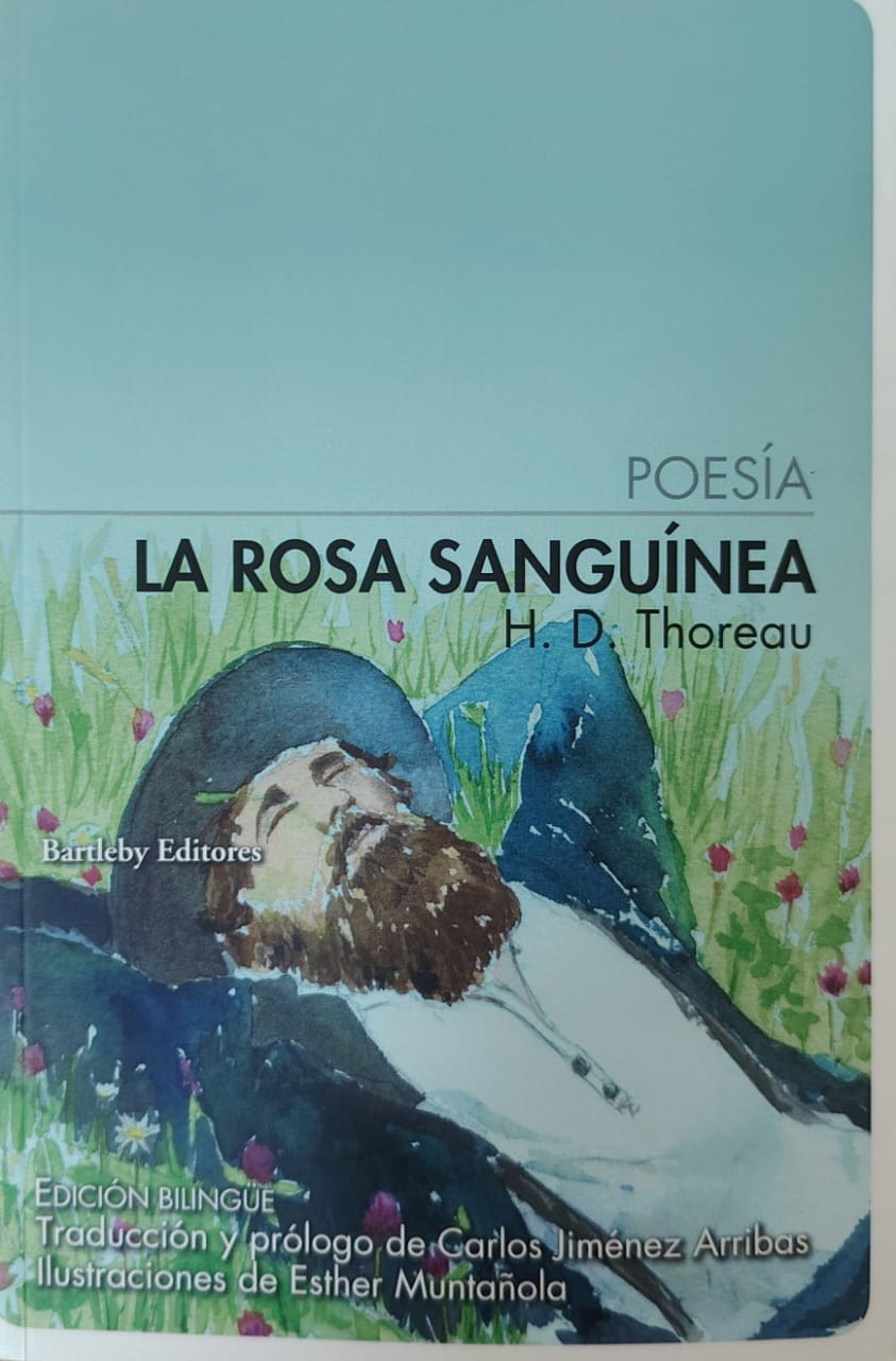 La rosa sanguínea